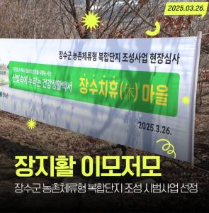 뉴스