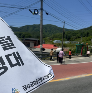 뉴스